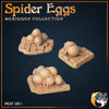 Spinneneier / Spider Eggs