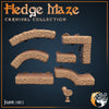 Hedge Maze (World Forge Miniatures)