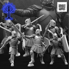 Krieger des grauen Schlosses mit Schwert und Schild / Grey Castle Warriors with Swords