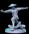 Raiden (MK1)