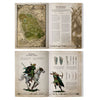 Arcane Journal: Wood Elf Realms (Englisch)