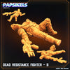 DEAD RESISTANCE FIGHTER B (Papsikels)