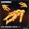 DEAD RESISTANCE FIGHTER C (Papsikels)
