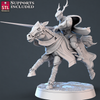 Jousting Set (STL Miniatures)