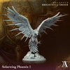 Sonnenwind-Phönix 1 / Solarwing Phoenix 1