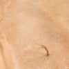 Terrains - Sandy Desert (250ml)