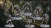 Faldorn Hobgoblins A-F Set (30mm Base, mit allen Händen)