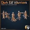 Dunkelelfen-Krieger / Dark Elf Warriors (5 Miniaturen)