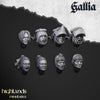 Weibliche Gallia-Köpfe / Female Gallia Heads