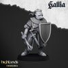 Ritter von Gallia zu fuß - Knights of Gallia on foot (10 Modelle)