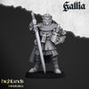 Ritter von Gallia zu fuß - Knights of Gallia on foot (10 Modelle)