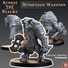 Minotauren-Krieger / Minotaur Warrior