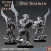 Ork-Schmanin / Orc Shaman