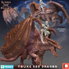 Junger Roter Drache / Young Red Dragon