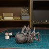 Dead Giant Spider 01 (Tytantroll)