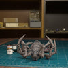 Dead Giant Spider 02 (Tytantroll)