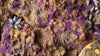 Gamers Grass Tiny Alien Purple 2mm Tufts