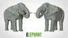 Elefant (alternative Pose)
