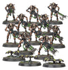 Necronkrieger / Necron Warriors