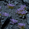 Gamers Grass Violet Flowers Basing Material