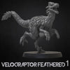 Velociraptor gefiedert 1