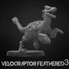 Velociraptor gefiedert 3