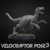 Velociraptor - alternative Pose 3