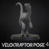 Velociraptor - alternative Pose 4