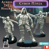 Cyber Ninja (Across the Realms)