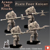 Plate Foot Knight (Across the Realms)