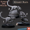 Giant Rats