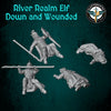 River Realm: Elf Down and Wounded