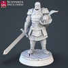 Royal Court Royal Guard A (STL Miniatures)